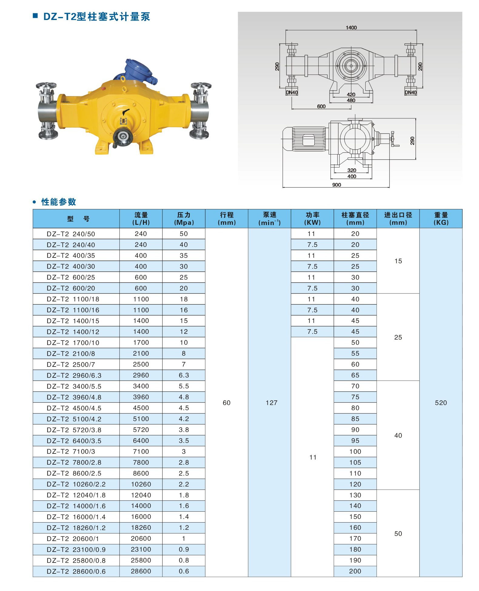 DZ-T2型柱塞式计量泵.jpg